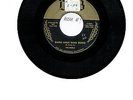 The Edsels DOO-WOP 45 (DUB 2843) Rama Lama Ding Dong/Bells