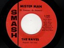 GARAGE-RAVES-SMASH 2088-MISTER MAN/MOTHER NATURE