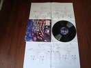 Animal Collective Transverse Temporal Gyrus NM LP w/ Poster In Shrink w/ Hype