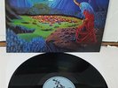 Ashbury Endless Skies Black Vinyl LP Record new