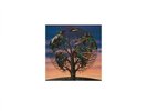 Laughing Stock Talk Talk LP 12 Inch Album 33 rpm Vinyl