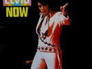 ELVIS PRESLEY ELVIS NOW(180G/TRANSLUCENT BLUE & BLACK SWIRL VINYL/LTD EDITION)