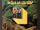 THEM - THEM IN REALITY - Original RARE 1971 Psych Vinyl LP - Happy Tiger HT1012
