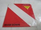 van halen diver down lp.