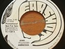 Amnesia -Ahh...- Florida Hard Rock 45 on Earshot - Hear
