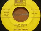 Sunshine Reigns -Acelia Dulfin- Louisiana Garage Psych 45 on MBM - Hear