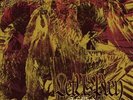 Electric Wizard: Let Us Prey 2 LP Double Vinyl Record Set 2015 Rise Above UK NEW