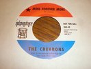 The Chevrons 45 Mine Forever More INDEPENDENCE PROMO