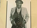 Muddy Waters-Hard Again  (Vinyl, Jul-2012, Music on Vinyl)
