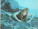Roxy Music-Siren (1LP) (UK IMPORT) VINYL NEW