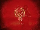 Still Life by Opeth (180gm 2 Vinyl LP, Picture Disc, 2017 Peaceville, Germany)