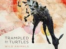 Trampled By Turtles ?- Wild Animals LP - SEALED Black Vinyl Album Record + DL
