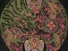 Witch - Vinyl Witch - Rock & Pop Music New LP011188