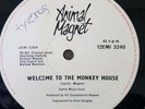 ANIMAL MAGNET WELCOME TO THE MONKEY HOUSE CLASSIC 1981 ORIGINAL 12in SINGLE