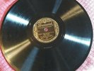 The Beverly Hill Billies Brunswick 421 1930 Red River Valley, When The Bloom is