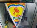Rare 1970s David Bowie Starman Pennant