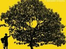 Jack Johnson - In Between Dreams Vinyl LP Universal NEW