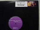 BRIAN SETZER & THE TOM CATS UNRELEASED TRACKS STRAY CATS PRIVATE PRESS LP