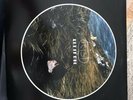 Feist ?– Let It Die LP