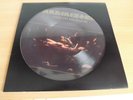 Picture LP RAMMSTEIN - LIEBE IST FÜR ALLE DA  ( 2009 ) Wie Neu