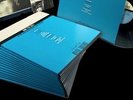 Ryan Adams Live After Deaf 15 LP Vinyl Set of Records (No Box)