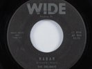 Instrumental Surf Tittyshaker 45 DEL-RAYS Radar WIDE HEAR