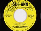Black Gospel 45 - Flames of Harmony - Life In The Valley - Su-Ann - VG+ mp3
