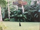 Matt Corby ?- Rainbow Valley LP - SEALED - Import Vinyl Album - Country Record