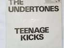 The Undertones  Teenage Kicks *Sanctuary*  7 Inch Vinyl PUNK