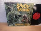 Savoy Brown LP Looking In Decca Royal Sound Stereo 1970 MINT