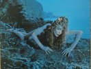 Roxy Music ?– Siren  1975 US 1st pressing 12