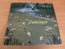 THE FLAMINGOS S/T LP SELF TITLE BLACK CHECKER 1433 MONO ? DOO WOP R&B SOUL HTF