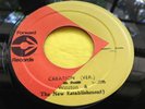 1975 Roots Reggae 45 : Winston & The New Establishment   Creation   Forward