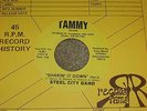 STEEL CITY BAND - Shakin It Down TAMMY 7
