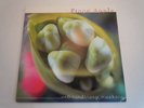 Fiona Apple - Extraordinary Machine Vinyl 2x LP OOP RARE Jon Brion