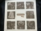 Pixies ?– Pixies Live, Tempest Records P810, Unofficial Release