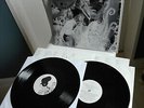 BJOERK BJÖRK limited numbered 0647/1.000 DMM Vinyl 2LP  Vespertine (2008)
