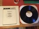 Screaming Trees Buzz Factory TEST PRESS LP SST Mark Lanegan Sub Pop Rare Vinyl