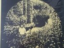 The Search Party ?– Montgomery Chapel Rapturedelic RR 6.8 Christian-Psych