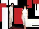 THE WHITE STRIPES - DE STIJL | Vinyl