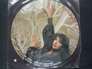 Kate Bush - Lim.Edition BAK 2073 -MINT- Interv. Picture Disc Vinyl LP  RARITÄT