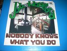 JOHN HARTFORD Nobody Knows What You Do LP Flying Fish 028 NM cc 1976
