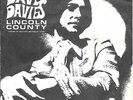 DAVE DAVIES 45 LINCOLN COUNTY+PS HOLLAND RARE 1968