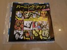 Madonna 45 vinyl record Burning Up Japan
