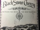 Black Stone Cherry Between The Devil & The Deep Blue Sea Vinyl Lp NM/NM