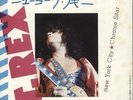 New York City T-Rex / Tyrannosaurus Rex Japanese 7