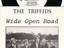 Triffids ORIG OZ Promo PS 45 Wide open road NM ’86 White Hot K9929 Alt rock