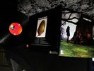 RARE 1972 PROMO   THE GOSPEL OAK   WEST COAST HIPPIE BLUES ROCK ex HORSES LP GEM