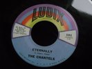 Z3 LUDIX 101 THE CHANTELS NORTHERN DOO WOP SOUL ETERNALLY SWAMP WATER