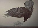 Katatonia - Fall of Hearts - Double LP Vinyl - New